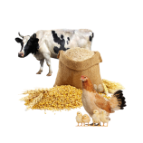 livestock and poultry