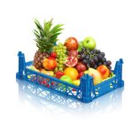 Fruit basket manufacturer