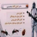 Basharat spraying service company in Ahvaz