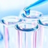 Para-Tahizh researchers in Tehran