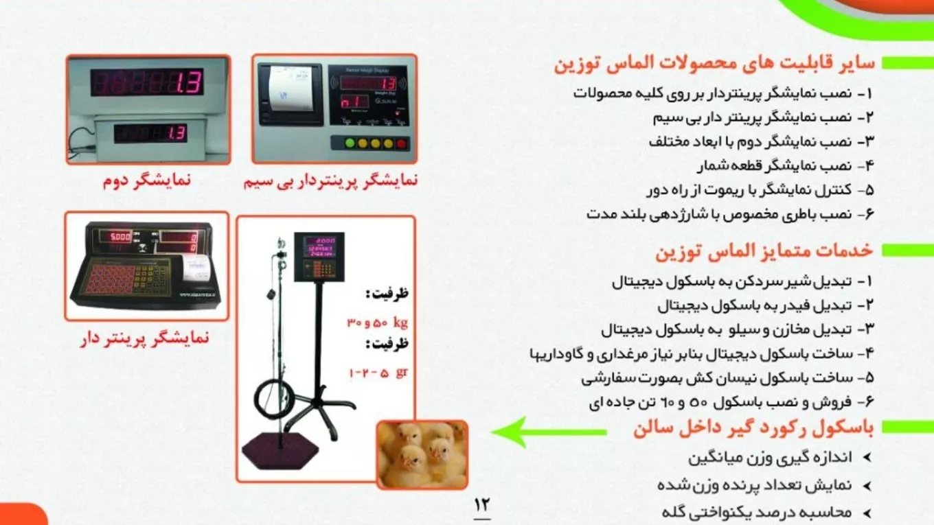 Introduction of products in English and Russian languages ​​(other features of Diamond weighing products)