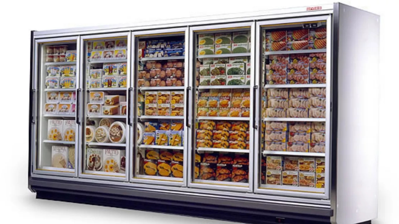 Manufacturer of Delfin cold storage and industrial refrigerators in Tehran