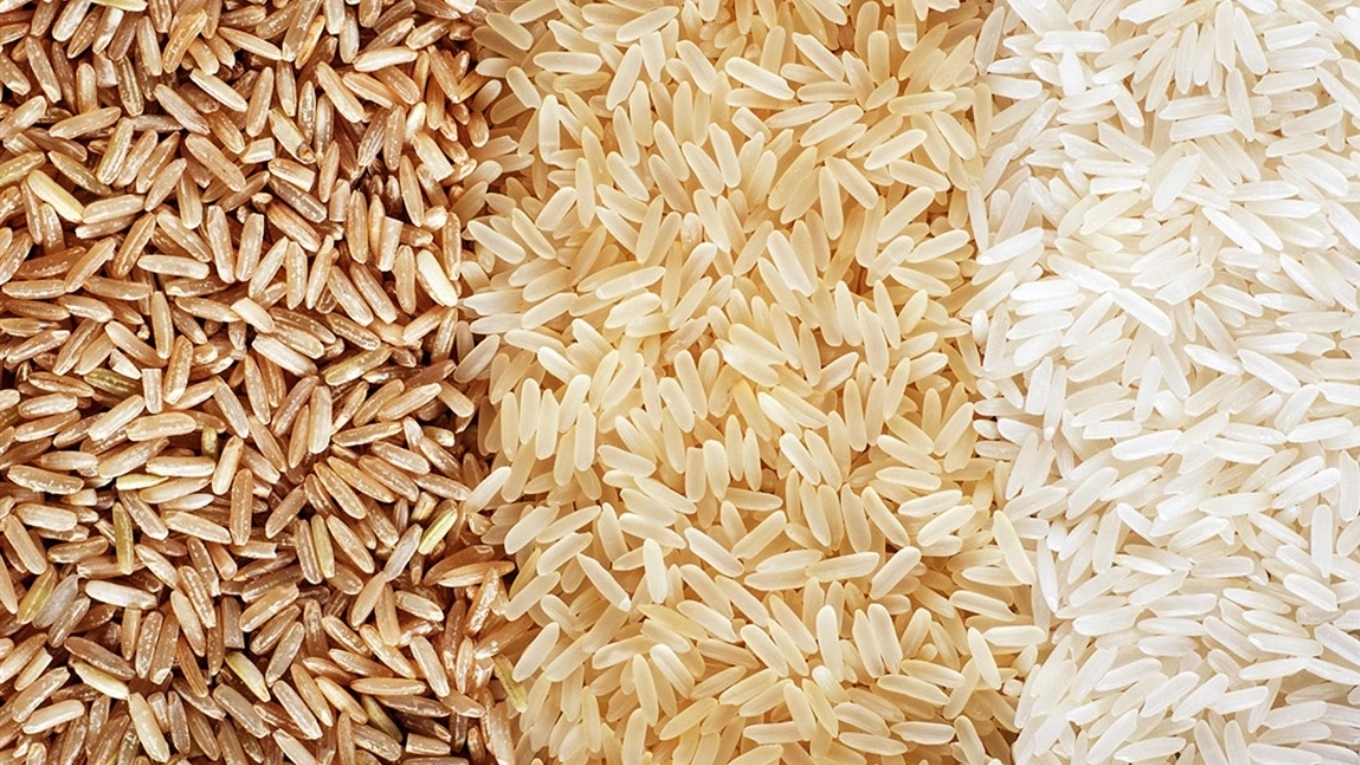 Selling Iranian rice, Tarem rice, Hashemi Tarem rice, Fajr Shiroudi in Khazar rice shop in Mahmoudabad, Mazandaran.