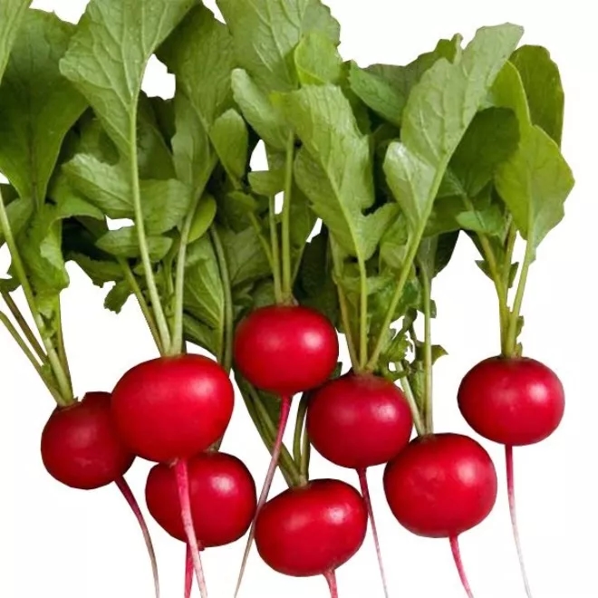 1694427978996.webp