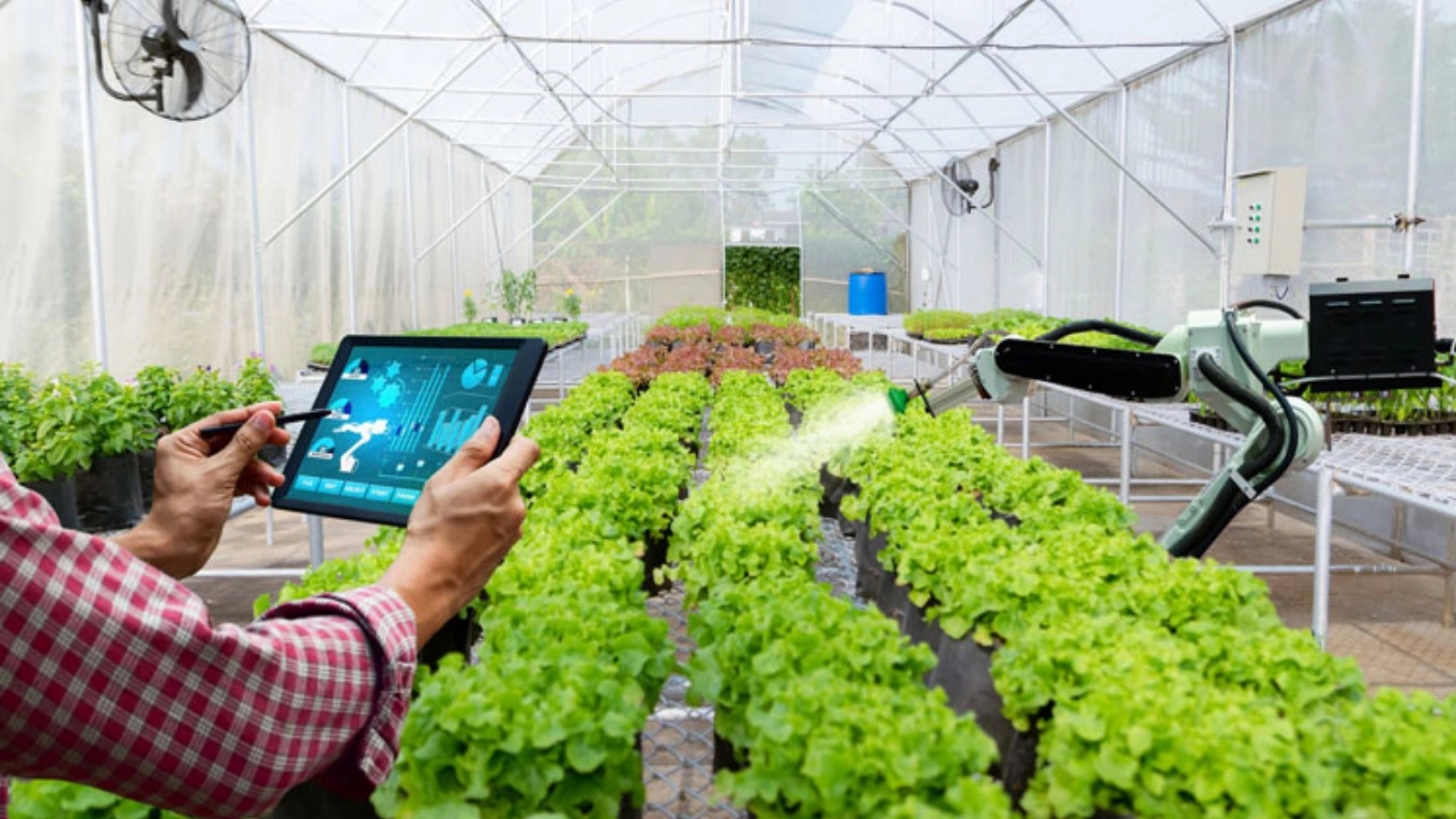Implementation and smartening and electrification of the greenhouse of Savin Sanat Arsam Company in Shiraz