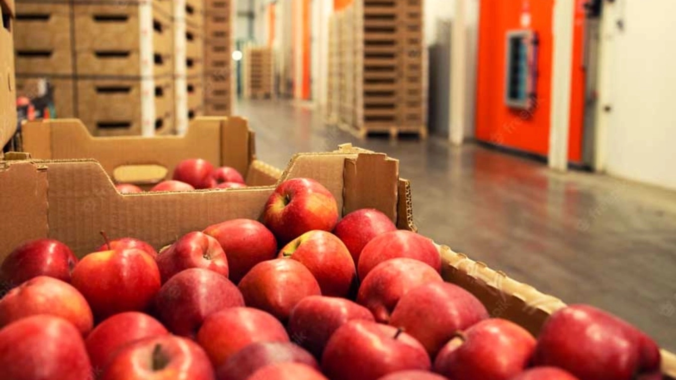 Examination of all types of fruit and vegetable cold storage equipment
