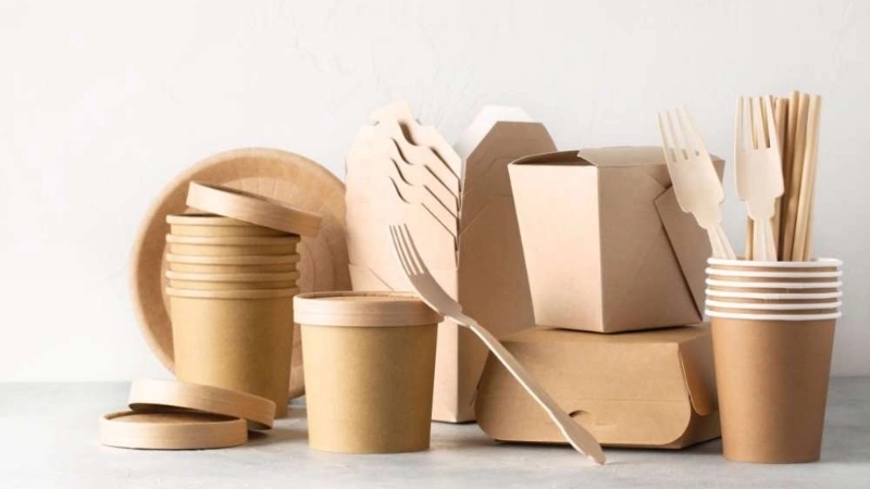 Wholesale sale of Rajabian paper dishes in Arak