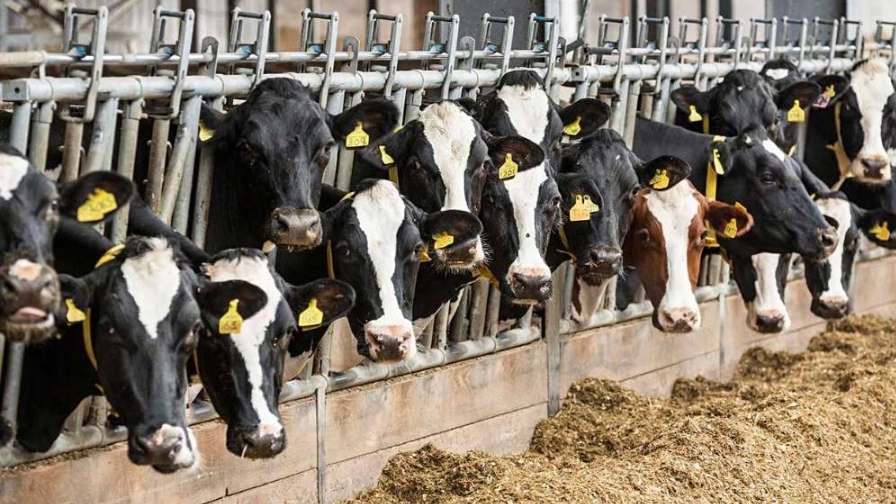 Zero to one hundred farmer livestock services in Mashhad