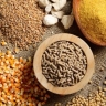 Production of animal and poultry feed and domestic pets in Mahdane Alborz in Shahryar, Tehran