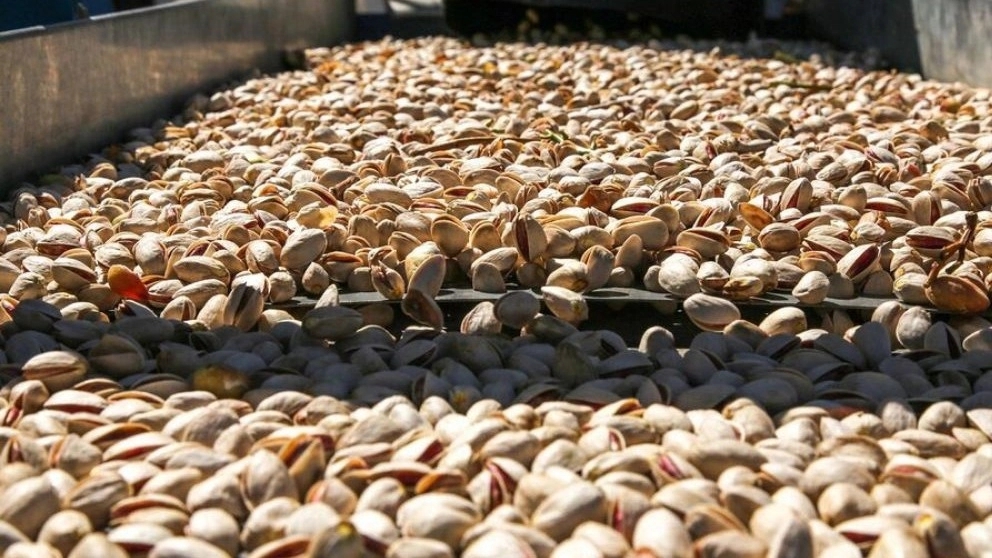 Pistachio processing machines and devices