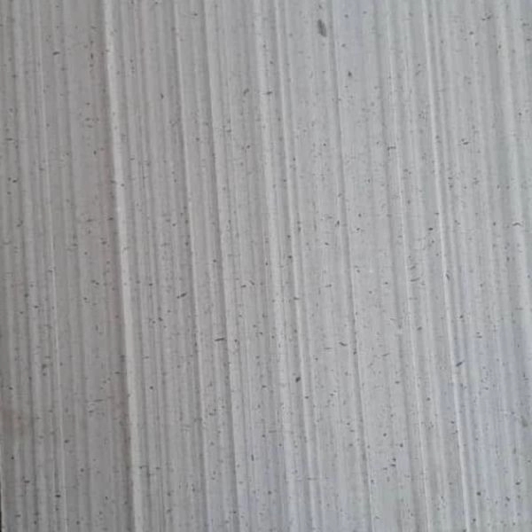 1699354929185.webp