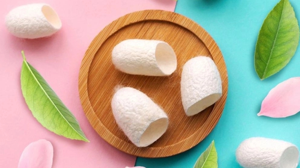 History of silk cocoon