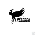 Sales agent for hatching and selling peacock chicks in Amal