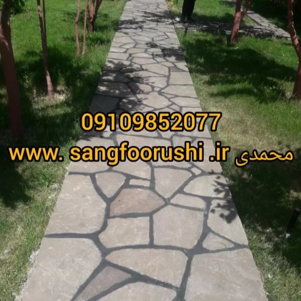 1700121139902.webp