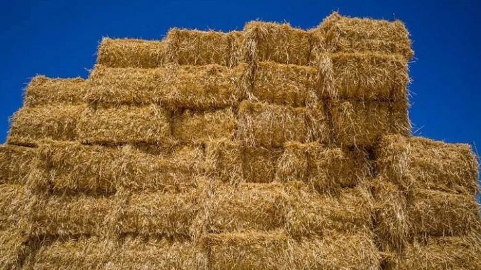 spread fodder