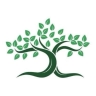 Production and sale of transplanted seedlings of Babak Nosrati in Miandoab
