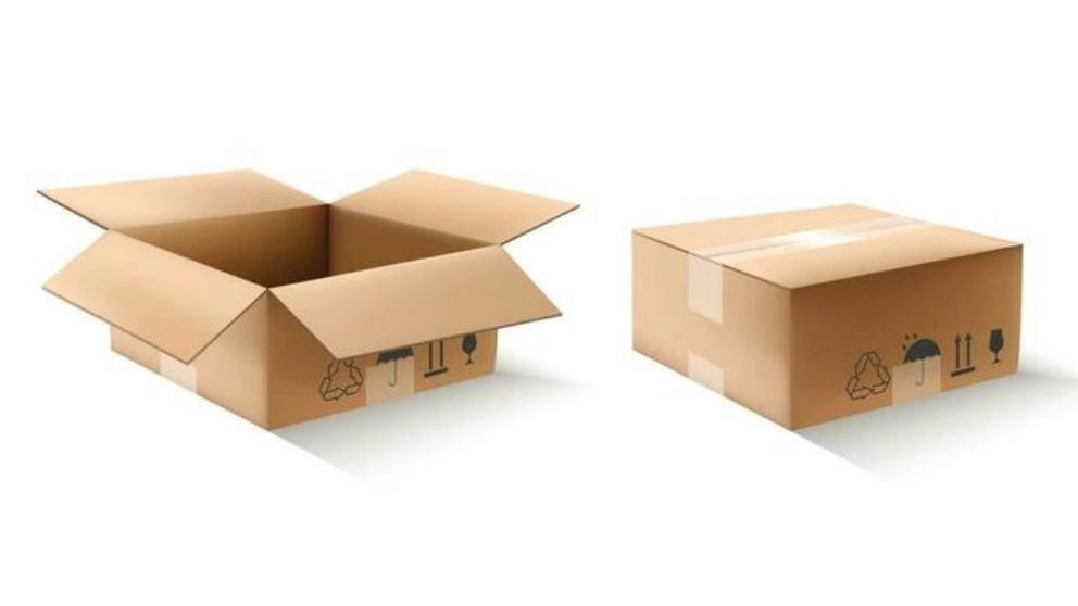 Boxing and cartoning of Sina Pack