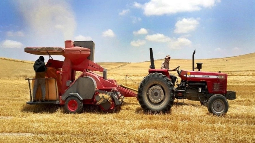 Young agricultural implements