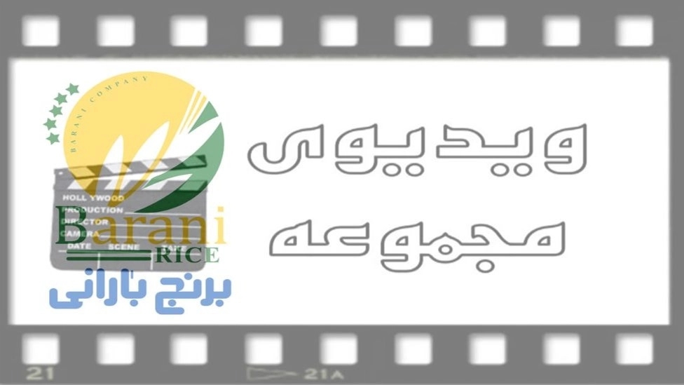 إنتاج وتوريد أرز مازندران البعلي في كرمان