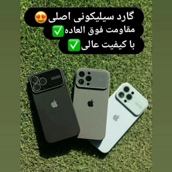 1702189362078.webp