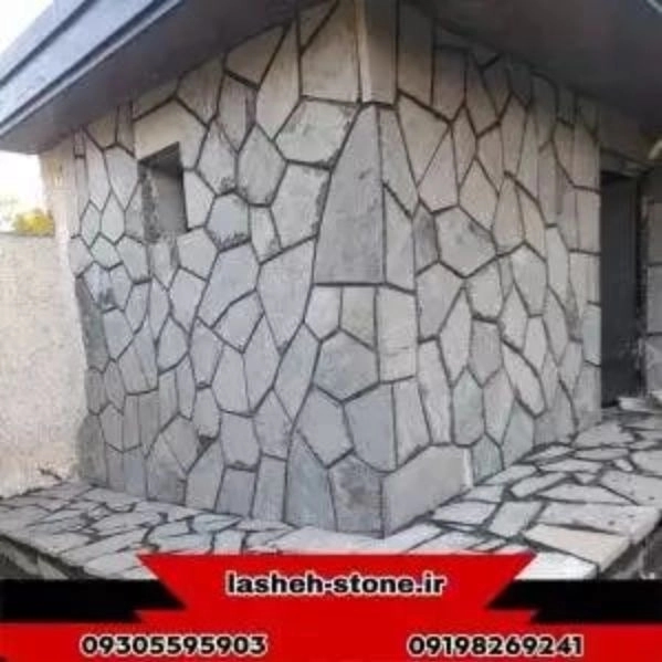 1702454198691.webp