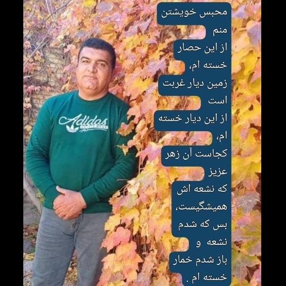 1702879312138.webp