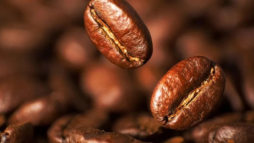 What are coffee beans? Getting to know the types of coffee beans What are coffee beans? Getting to know the types of coffee beans