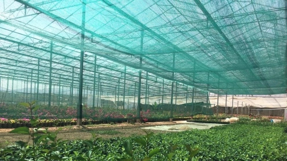 The most important fields of application of canopy mesh (greenhouse shade) The most important fields of application of canopy mesh (greenhouse shade)