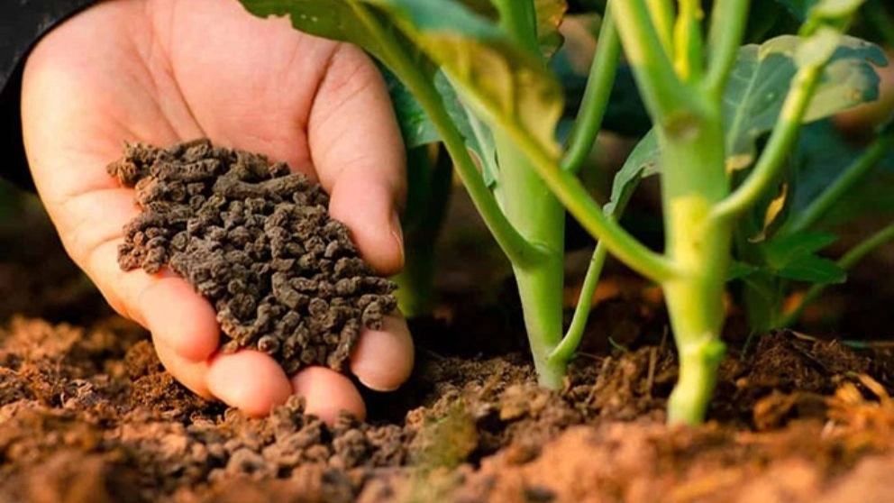 What is the definition of mineral organic fertilizer?