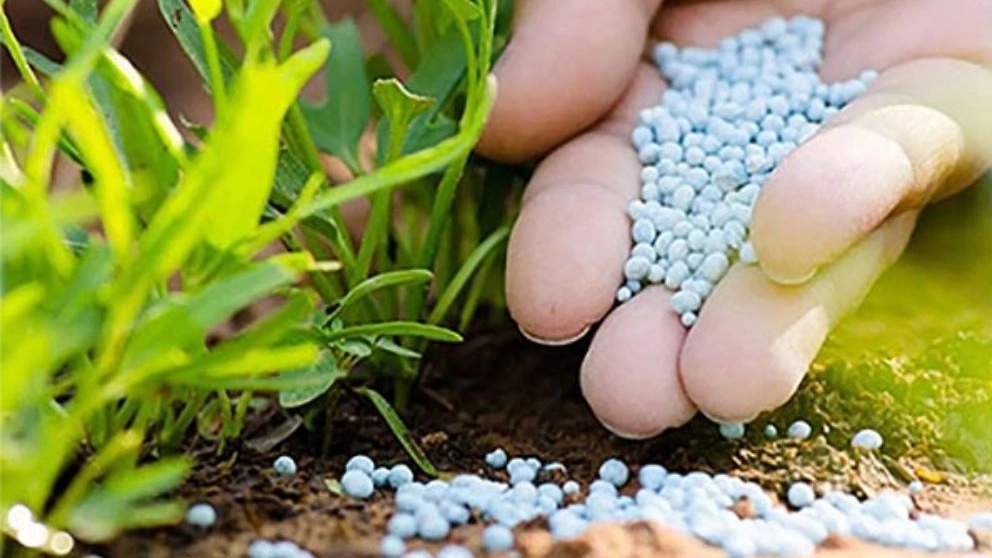 Fertilizer