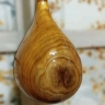 Anoushirvan Instruments in Rasht