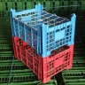 Behinplast fruit basket production factory in Fars