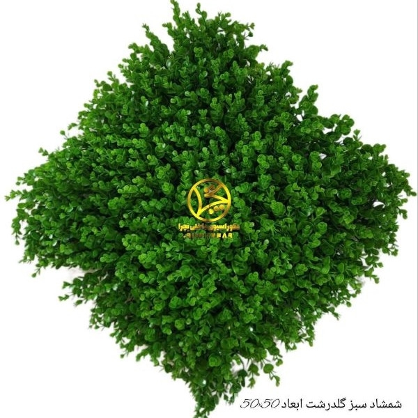 1710397022866.webp