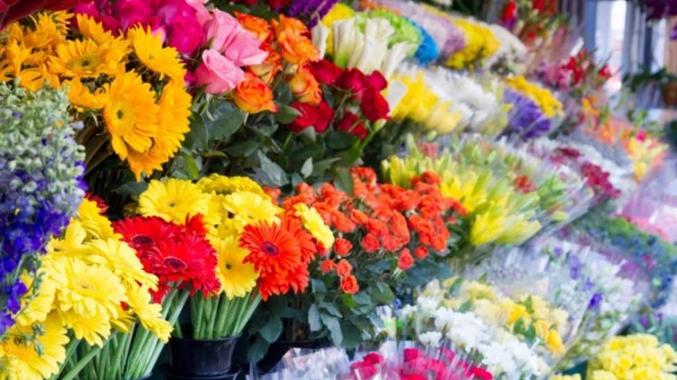 Jordan flower shop online around the clock Hosni in Shemiran, Tehran