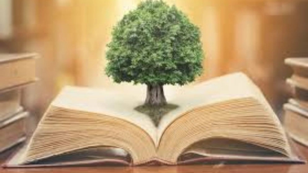 Alyan bookstore