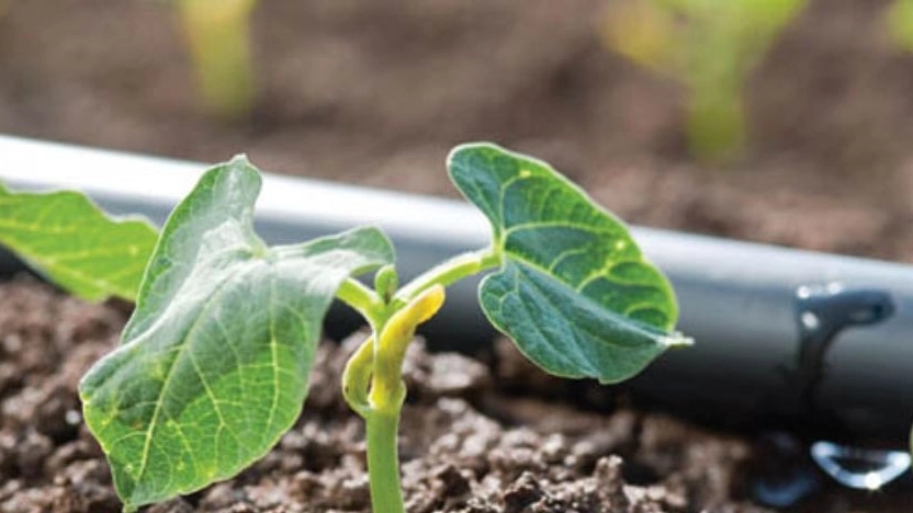 The differences between tape and irrigation pipe The differences between tape and irrigation pipe