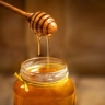 Nagin Khokhbar, wholesale sale and export of organic and natural honey in Razavi Khorasan