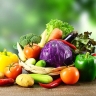 Paliz Company, export of agricultural products in Tehran