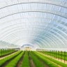 Packaging of greenhouse products and implementation of modern Bagheri greenhouses in Isfahan