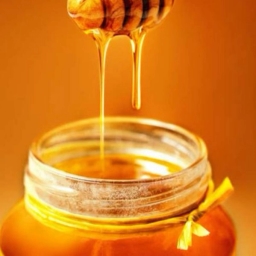 Mashani honey, wholesale sale of original organic honey in Khuzestan