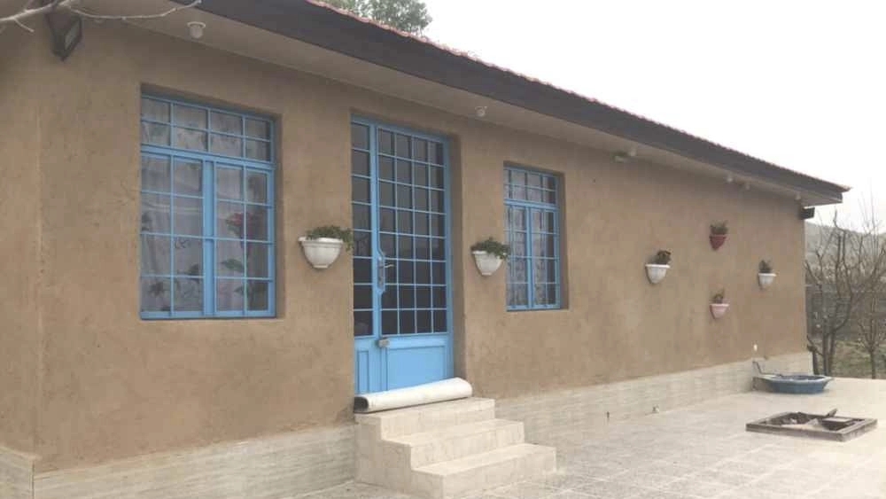 The price of Nano Khaneh Rang thatch in Tehran