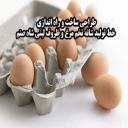 Shah Sanam dairy containers, design, construction and operation of egg comb production line in Karaj