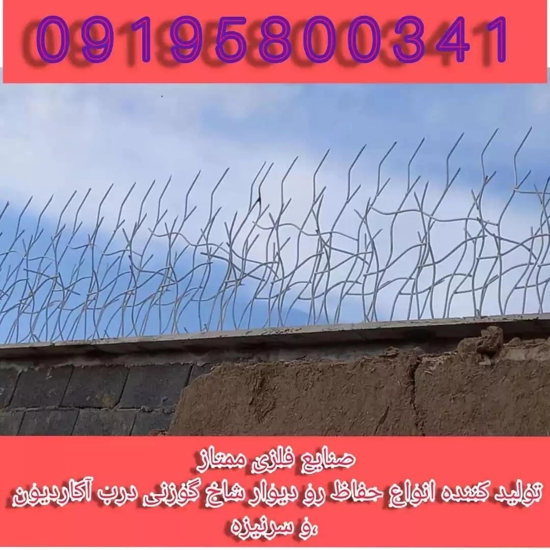 1729500780777.webp