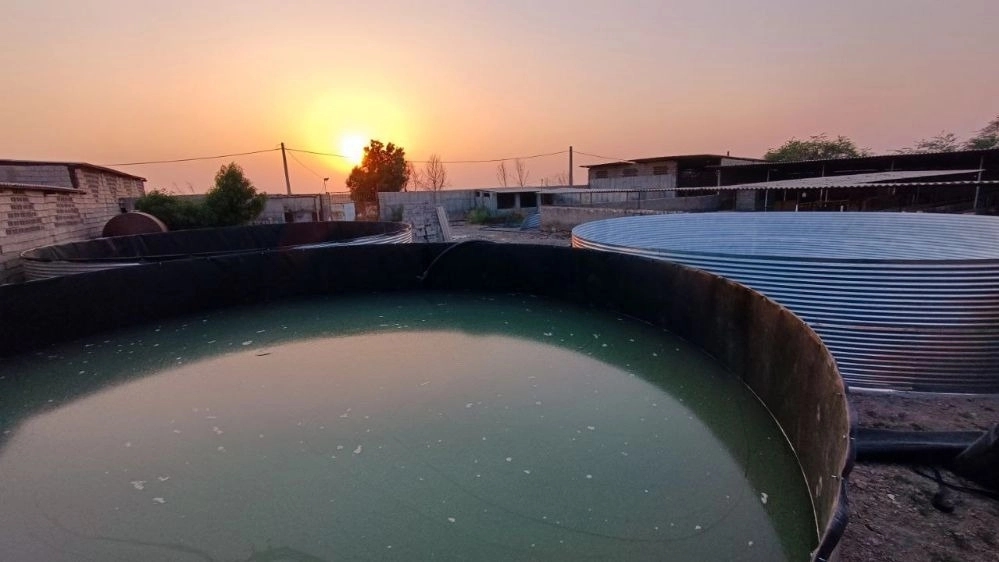 Installation steps of fish breeding pond in Rasht