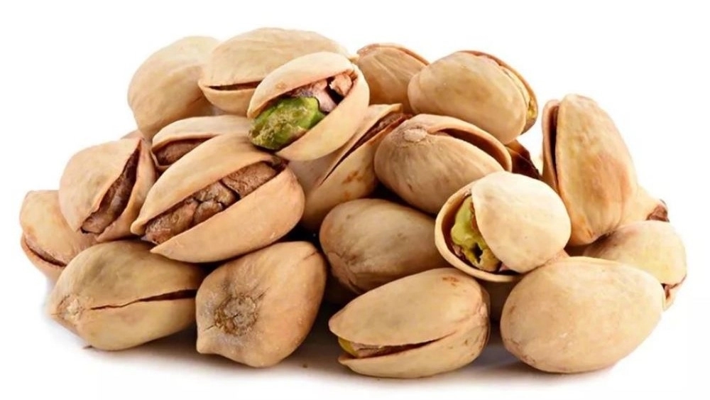 Wheat pistachio nuts in Rafsanjan Wheat pistachio nuts in Rafsanjan
