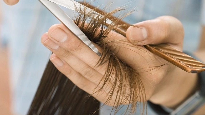 Beautyland haircut