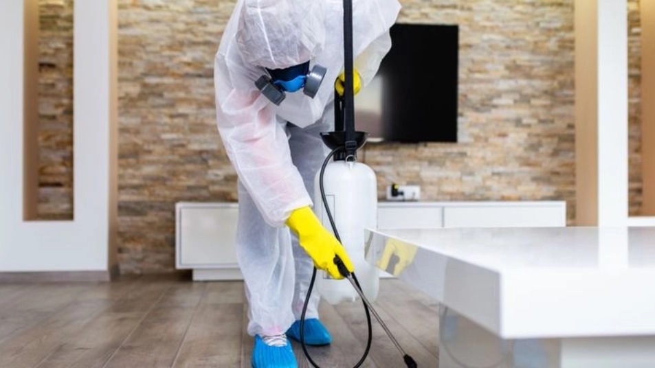 Specialized spraying company in Shiraz
