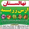 Aras Zarineh nursery, sale of walnut, apricot, peach and apple seedlings in Miandoab
