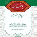 Baghdad Shop, Beans and Cereals Sale in Zanjan