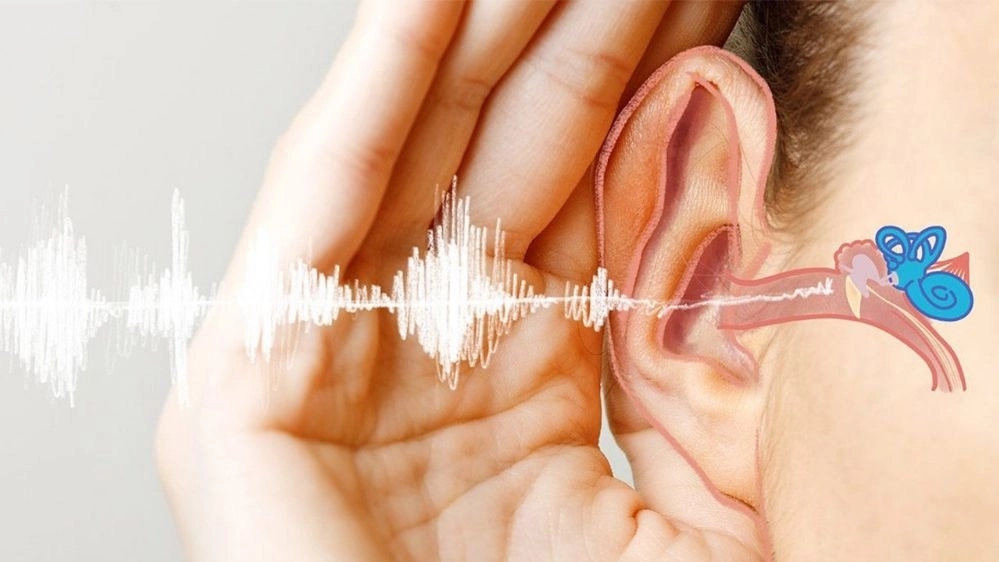 Pasteur audiometry in Ahwaz